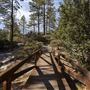 Mount San Jacinto State Park (SP) & Palm Springs Aerial Tramway