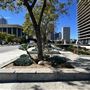 LADWP Headquarters / John Ferraro Building