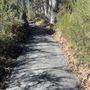Belinda Point Public Access Trail