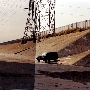Los Angeles River / LA River - Interagency / Multi-Jurisdictional