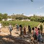 Rosenthal Malibu Vineyard