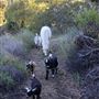 RAINE Ranch