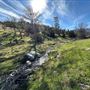 Bufford Ranch, managed by Golden Ranch Estates