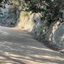 Boy Scout Trail - Griffith Park