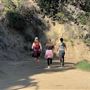 Boy Scout Trail - Griffith Park