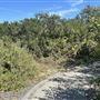 Santa Fe Dam Recreational Area
