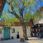The Rusty Horse Ranch