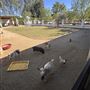 The Rusty Horse Ranch