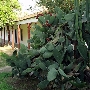 Los Encinos State Historic Park (SHP) adjacent to currently closed Lakeside Restaurant & Lounge