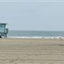 Dockweiler State Beach (SB) / FilmLA - County Beaches & Harbors