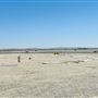 General William J. Fox Airfield (WJF)