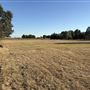 11071 Walmort Rd