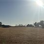 11071 Walmort Rd