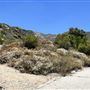 Deukmejian Wilderness Park