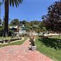Storybook Estate