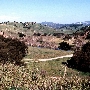 Malibu Creek State Park (SP)