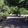 Marshall Gold Discovery State Historic Park (SHP)
