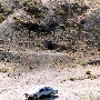 Mesquite Tunnel
