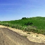 Mount Diablo State Park (SP)