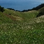 Mount Tamalpais State Park (SP)