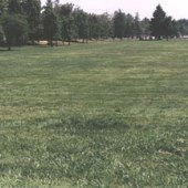 Vasona Lake County Park