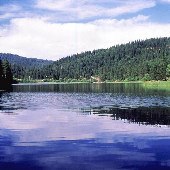 White Pines Lake