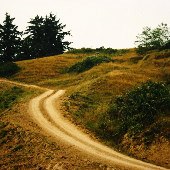 Elk River Road - Reardon Ranch
