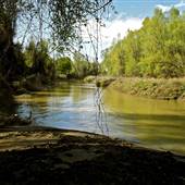 Colusa-Sacramento River State Recreation Area (SRA)