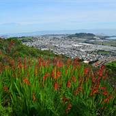 San Bruno Mountain State Park (SP)