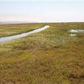 Tijuana Estuary NP Point of Interest /  State Park (SP)
