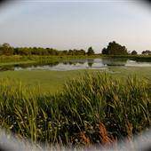 Arcata Marsh and Wildlife Sanctuary