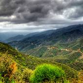 Los Padres National Forest - Monterey Ranger District