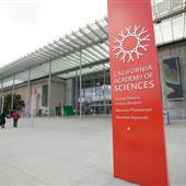 California Academy of Sciences