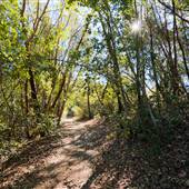 Robert Louis Stevenson State Park (SP)