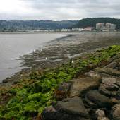 Albany State Marine Reserve
