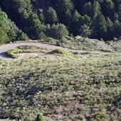 Nacimiento Fergusson Road - Forest Road No. 22S01