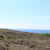 Navarro Point Preserve and Coastal Trail