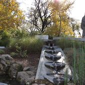 Shasta County Gardens