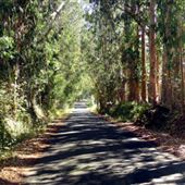 Bay Hill Road