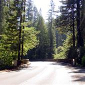 Cazadero Rd