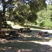Occidental Arts and Ecology Center