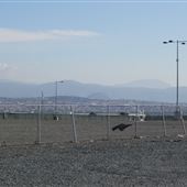 Otay Mesa - TruckNet Truck Stop & vacant Alta Cafe Ranch House