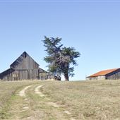 Historic Barns at Spring-Ranch Preserve located in Van Damme State Park (SP)