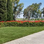 Belle Vie Vineyard and Event Center
