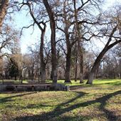 Cone Grove Park