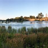 Effie Yeaw Nature Center