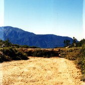 Forest Service Road 2N10 West of Heliport
