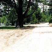 Forest Service Road 3N16 at Hitchcock Ranch
