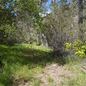 Stone Meadows Ranch