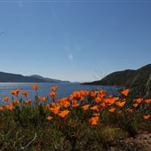 Diamond Valley Lake